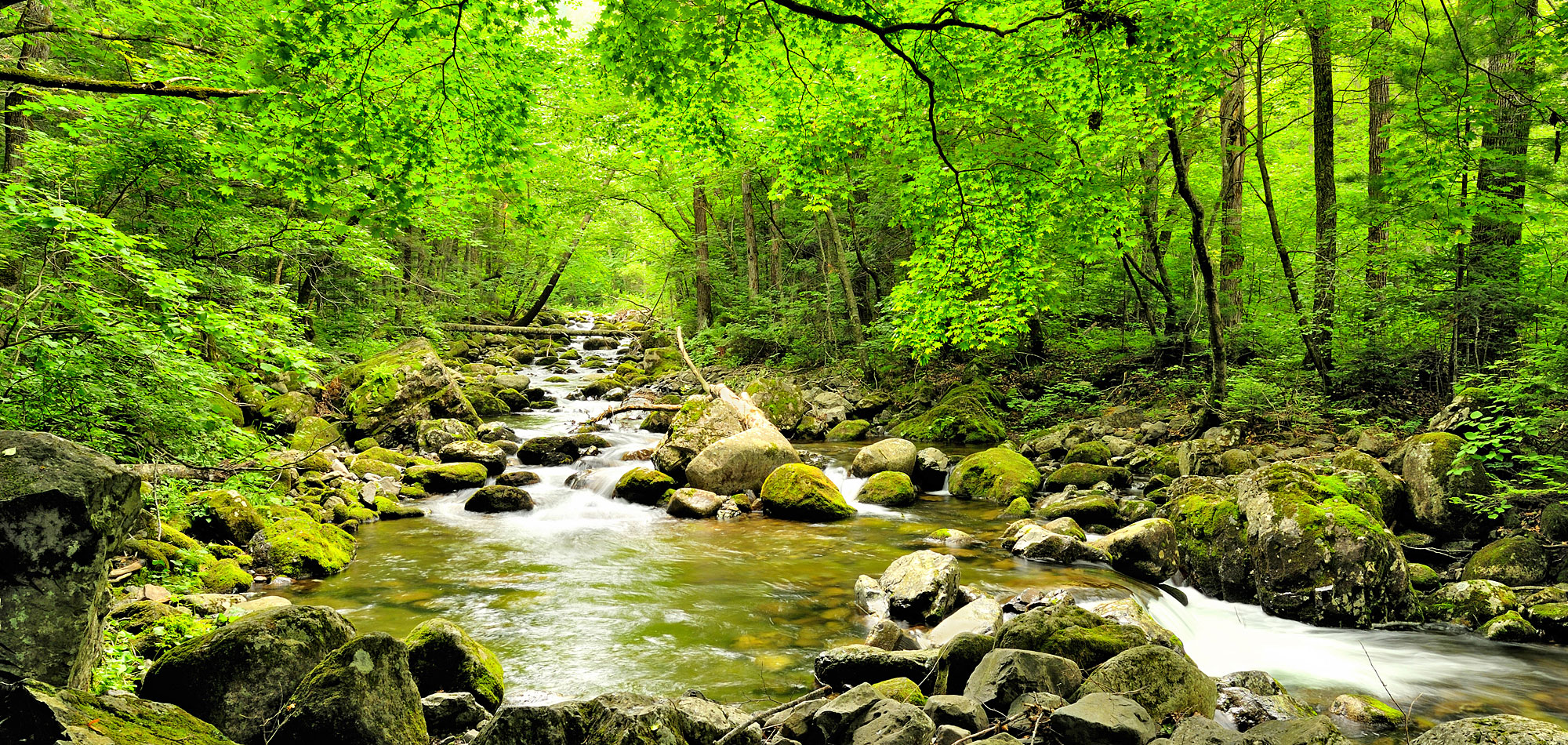 Sicherer Urlaub im Bayerischen Wald